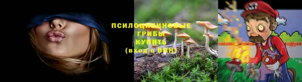 соль курить ск Протвино