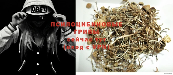 стафф Пролетарск