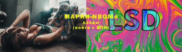 стафф Пролетарск