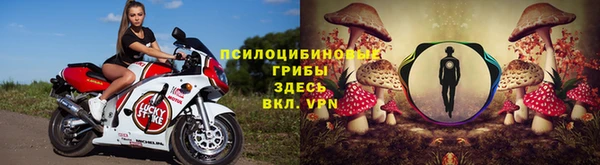 стафф Пролетарск