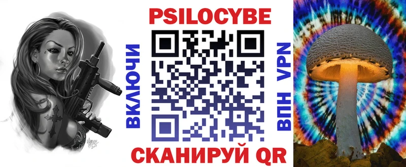 Псилоцибиновые грибы Cubensis  Купить закладки  Фокино 