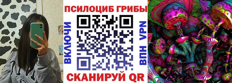 Галлюциногенные грибы Psilocybine cubensis Фокино